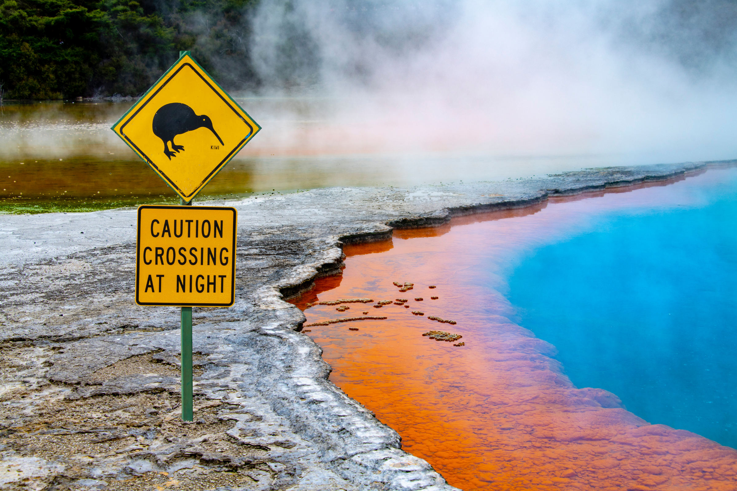 105 rotorua.webp